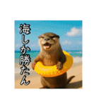 夏を楽しむアニマルズ（個別スタンプ：1）