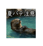 夏を楽しむアニマルズ（個別スタンプ：9）