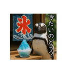 夏を楽しむアニマルズ（個別スタンプ：11）