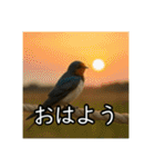 夏を楽しむアニマルズ（個別スタンプ：13）
