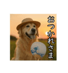 夏を楽しむアニマルズ（個別スタンプ：14）