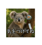 夏を楽しむアニマルズ（個別スタンプ：18）