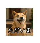 夏を楽しむアニマルズ（個別スタンプ：19）