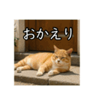夏を楽しむアニマルズ（個別スタンプ：20）
