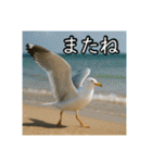 夏を楽しむアニマルズ（個別スタンプ：21）