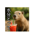 夏を楽しむアニマルズ（個別スタンプ：24）