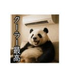 夏を楽しむアニマルズ（個別スタンプ：25）