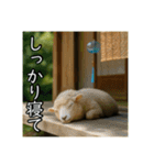 夏を楽しむアニマルズ（個別スタンプ：27）