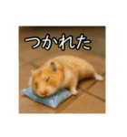 夏を楽しむアニマルズ（個別スタンプ：28）