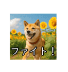 夏を楽しむアニマルズ（個別スタンプ：31）