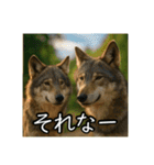 夏を楽しむアニマルズ（個別スタンプ：38）