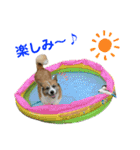 ぷー助のニコニコ日和（個別スタンプ：9）
