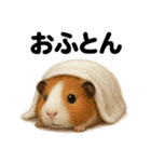癒し系モルモットの眠いLINEスタンプ（個別スタンプ：16）