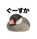 癒し系文鳥の眠いラインスタンプ（個別スタンプ：8）