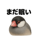癒し系文鳥の眠いラインスタンプ（個別スタンプ：11）