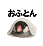 癒し系文鳥の眠いラインスタンプ（個別スタンプ：15）