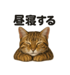 癒し系ベンガル猫の眠いラインスタンプ（個別スタンプ：9）
