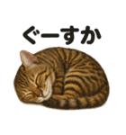 癒し系ベンガル猫の眠いラインスタンプ（個別スタンプ：10）