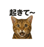 癒し系ベンガル猫の眠いラインスタンプ（個別スタンプ：11）