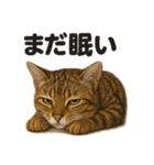 癒し系ベンガル猫の眠いラインスタンプ（個別スタンプ：12）