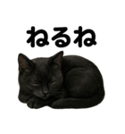 癒し系黒猫の眠いラインスタンプ（個別スタンプ：2）