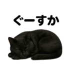 癒し系黒猫の眠いラインスタンプ（個別スタンプ：10）