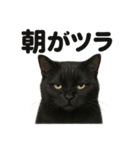 癒し系黒猫の眠いラインスタンプ（個別スタンプ：13）