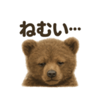癒し系赤ちゃんヒグマの眠いラインスタンプ（個別スタンプ：2）