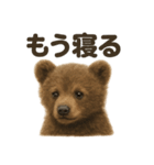 癒し系赤ちゃんヒグマの眠いラインスタンプ（個別スタンプ：4）