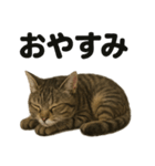 癒し系キジトラ猫の眠いラインスタンプ（個別スタンプ：3）