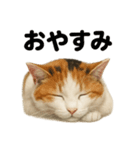 癒し系三毛猫の眠いラインスタンプ（個別スタンプ：3）