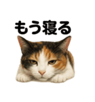 癒し系三毛猫の眠いラインスタンプ（個別スタンプ：4）