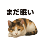癒し系三毛猫の眠いラインスタンプ（個別スタンプ：12）