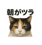 癒し系三毛猫の眠いラインスタンプ（個別スタンプ：13）