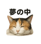 癒し系三毛猫の眠いラインスタンプ（個別スタンプ：14）