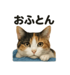 癒し系三毛猫の眠いラインスタンプ（個別スタンプ：15）