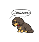 名前入りダックス：ロングチョコイエロー（個別スタンプ：2）