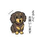 名前入りダックス：ロングチョコイエロー（個別スタンプ：4）