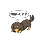名前入りダックス：ロングチョコイエロー（個別スタンプ：7）