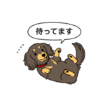 名前入りダックス：ロングチョコイエロー（個別スタンプ：10）