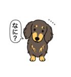 名前入りダックス：ロングチョコイエロー（個別スタンプ：22）