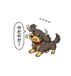 名前入りダックス：ロングチョコイエロー（個別スタンプ：23）