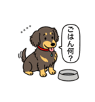 名前入りダックス：ロングチョコイエロー（個別スタンプ：24）
