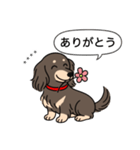 名前入りダックス：ロングチョコクリーム（個別スタンプ：5）
