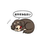 名前入りダックス：ロングチョコクリーム（個別スタンプ：9）