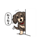 名前入りダックス：ロングチョコクリーム（個別スタンプ：12）