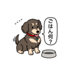 名前入りダックス：ロングチョコクリーム（個別スタンプ：24）