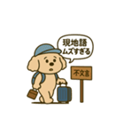 旅するトイプードルkomugi（個別スタンプ：8）