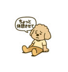 旅するトイプードルkomugi（個別スタンプ：19）