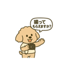 旅するトイプードルkomugi（個別スタンプ：31）
